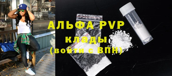 стаф Баксан