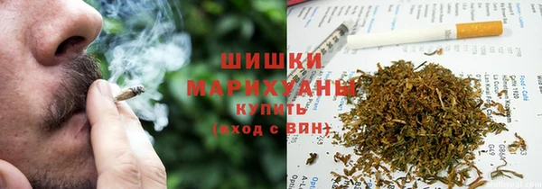 стаф Баксан